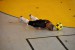 DSC_0172_resize.JPG