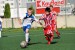 Topolčany - PFA ViOn_52_resize.JPG